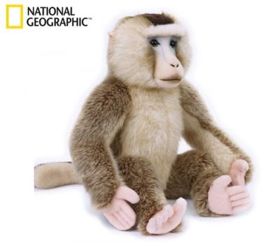 Makak orientalny. Wydawca: National Geographic. SmakLiter.pl Opakowanie Makak orientalny