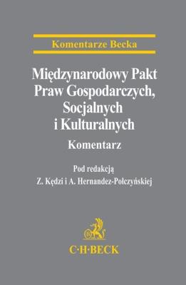 Okładka książki Międzynarodowy Pakt Praw Gospodarczych...