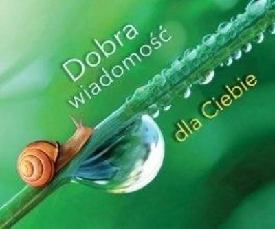 Perełka 288 Dobra wiadomość dla Ciebie. Autor: Opracowanie zbiorowe. SmakLiter.pl Okładka książki Perełka 288 Dobra wiadomość dla Ciebie