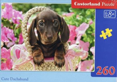Puzzle 260 Cute Daschshund. Wydawca: Castorland. SmakLiter.pl Opakowanie Puzzle 260 Cute Daschshund