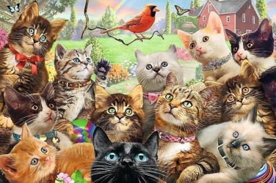 Puzzle Kotki 260. Wydawca: Trefl. SmakLiter.pl Opakowanie Puzzle Kotki 260