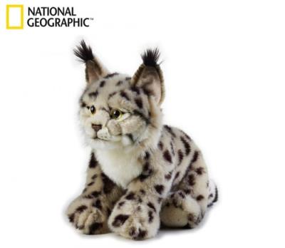 Ryś. Wydawca: National Geographic. SmakLiter.pl Opakowanie Ryś