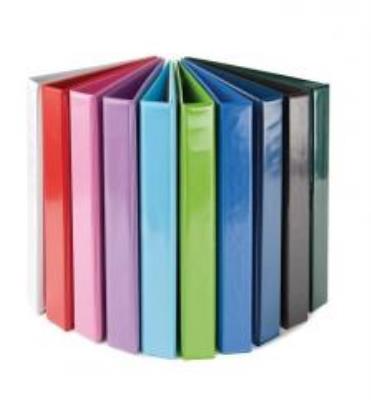 Opakowanie Segregator Focus Panorama A4 40MM/4D pastel ziel.