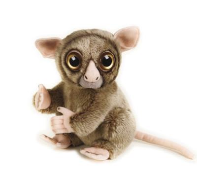 Wyrak. Wydawca: National Geographic. SmakLiter.pl Opakowanie Wyrak