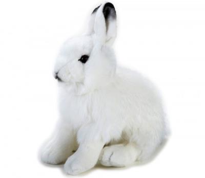 Zając polarny. Wydawca: National Geographic. SmakLiter.pl Opakowanie Zając polarny