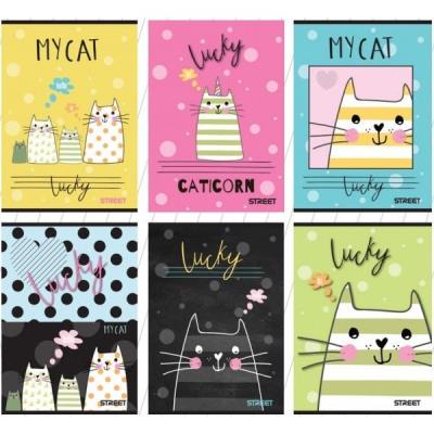 Opakowanie Zeszyt A5/54K linia My cat (10szt) STREET