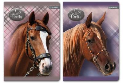 Opakowanie Zeszyt A5 w kratkę 80 kartek Nice and pretty 5 sztuk mix