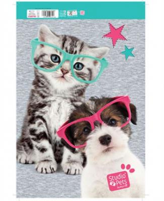 Opakowanie BLOK RYSUNKOWY A4 STUDIO PETS PEK 155A