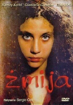 DVD ŻMIJA. Autor: Opracowanie zbiorowe. SmakLiter.pl Okładka książki DVD ŻMIJA