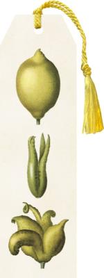 Opakowanie Zakładka 03 ze wstążką Cytryny 2 sztuki