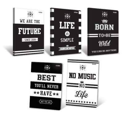 Opakowanie ZESZYT A4 80K KRATKA TOP2000 LIFE STYLE 311319