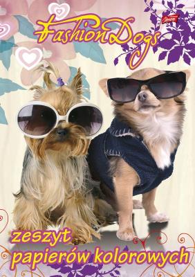 Zeszyt papierów kolorowych A4 10k mix. Wydawca: ST.MAJEWSKI. SmakLiter.pl Opakowanie Zeszyt papierów kolorowych A4 10k mix