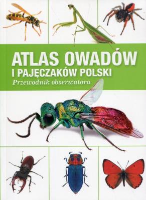 ATLAS OWADÓW I PAJĘCZAKÓW POLSKI PRZEWODNIK OBSERWATORA. Autor: Radomir Jaskuła, Krzysztof Pabis, G. TOŃCZYK. SmakLiter.pl Okładka książki ATLAS OWADÓW I PAJĘCZAKÓW POLSKI PRZEWODNIK OBSERWATORA