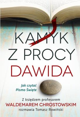 Okładka książki Kamyk z procy Dawida