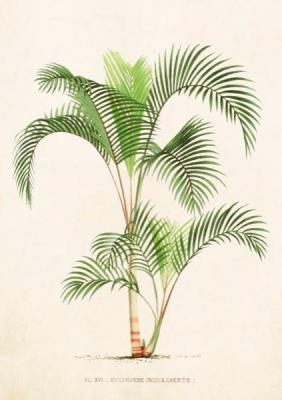 Opakowanie Karnet ST288 B6 + koperta Palma