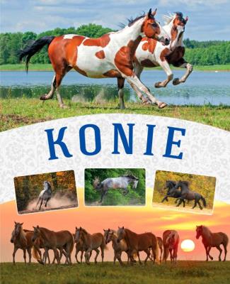 KONIE. Autor: MAŁGORZATA MĄKOSA. SmakLiter.pl Okładka książki KONIE