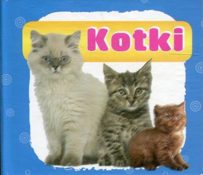 Kotki harmonijka mała. Autor: Opracowanie zbiorowe. SmakLiter.pl Okładka książki Kotki harmonijka mała