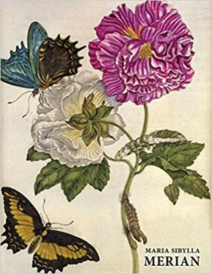 MARIA SIBYLLA MERIAN. Autor: Kiecol Daniel. SmakLiter.pl Okładka książki MARIA SIBYLLA MERIAN