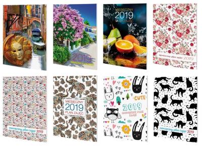 Okładka książki Miesięczny Plan Zajęć 2020 A5 AVANTI