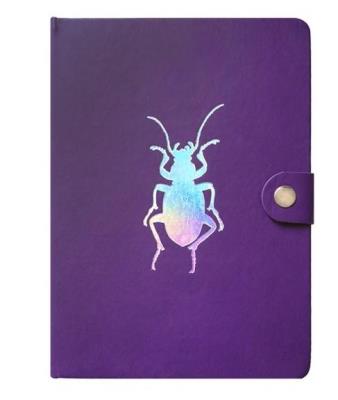 Opakowanie Notes A5/80K Chrabąszcz