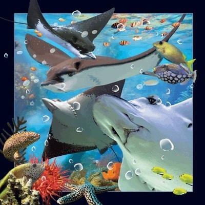 Opakowanie Pocztówka 3D Płaszczka