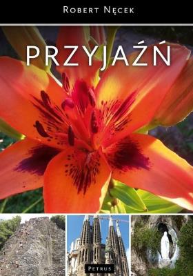 Okładka książki PRZYJAŹŃ WYD. 3