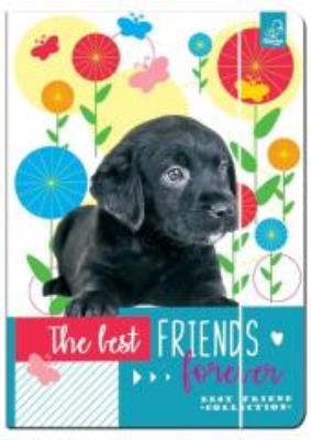 Opakowanie Teczka A4 z gumką Best Friends