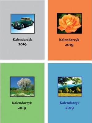 Opakowanie Terminarzyk kieszonkowy 2019 M8 tygodniowy MIX