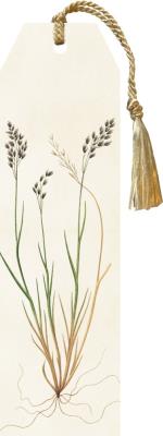 Okładka książki Zakładka 12 ze wstążką Flora danica