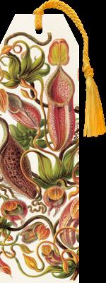 Okładka książki Zakładka 24 ze wstążką Egzotyczne kwiaty