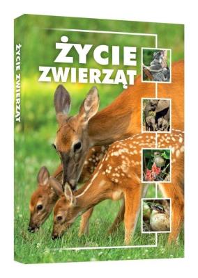 Życie zwierząt. Autor: Koziński Remigiusz. SmakLiter.pl Okładka książki Życie zwierząt