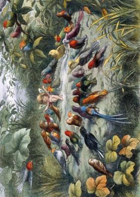 Opakowanie Karnet B6 z kopertą Musical Elf