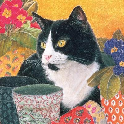 Opakowanie Karnet kwadrat z kopertą Bhajii and Flowerpots