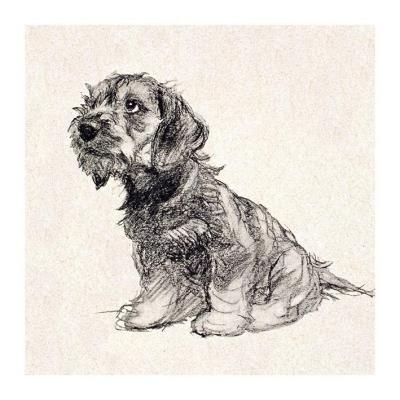 Opakowanie Karnet kwadrat z kopertą Puppy Love