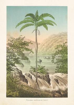 Opakowanie Karnet ST301 B6 + koperta Palma