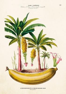 Opakowanie Karnet ST306 B6 + koperta Bananowce