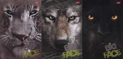 Opakowanie Kołobrulion A4 w kratkę 120 kartek 3 sztuki mix