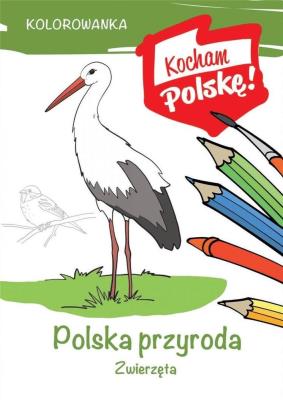 Kolorowanka. Polska przyroda- zwierzęta. Autor: Kiełbasiński Krzysztof. SmakLiter.pl Okładka książki Kolorowanka. Polska przyroda- zwierzęta