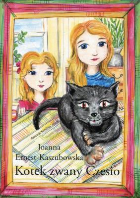 Okładka książki Kotek zwany Czesio