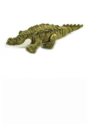 Krokodyl. Wydawca: National Geographic. SmakLiter.pl Opakowanie Krokodyl