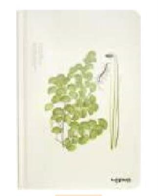 Opakowanie Notes A5/96K Miłorząb Duży