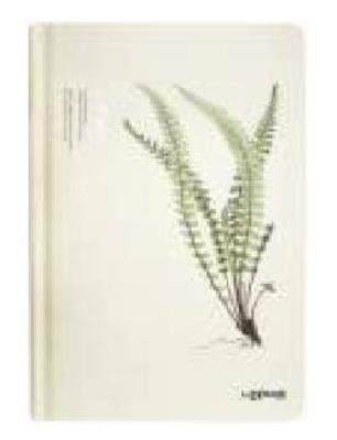 Opakowanie Notes A5/96K Paproć Duża