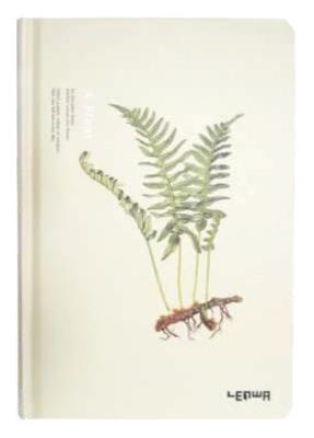 Opakowanie Notes A5/96K Paproć Mała