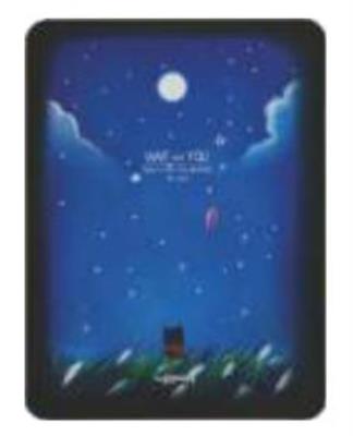 Opakowanie Notes A6/128K Noc Kot w Trawie