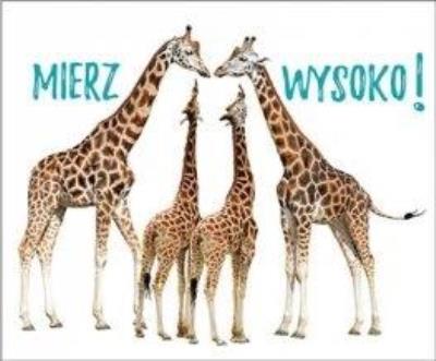 Perełka 291 - Mierz wysoko!. Autor: Opracowanie zbiorowe. SmakLiter.pl Okładka książki Perełka 291 - Mierz wysoko!