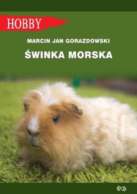 Świnka morska. Autor: Gorazdowski Marcin Jan. SmakLiter.pl Okładka książki Świnka morska