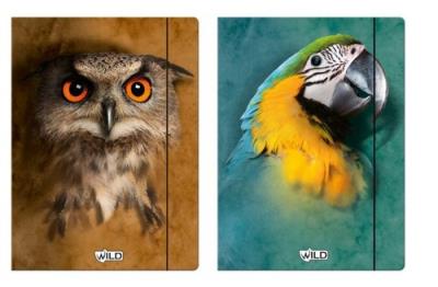 Opakowanie Teczka z gumką A4 Wild 5 sztuk