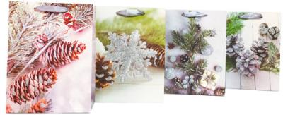 Opakowanie Torebka z brokatem MAX SZYSZKA 31x40x12 12 sztuk