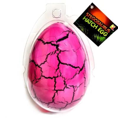 Opakowanie Wykluwający się Stegozaur