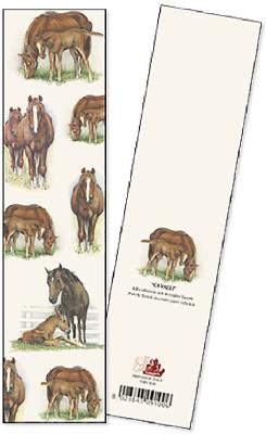 Opakowanie Zakładka do książki Cavalli opakowanie 2 sztuki